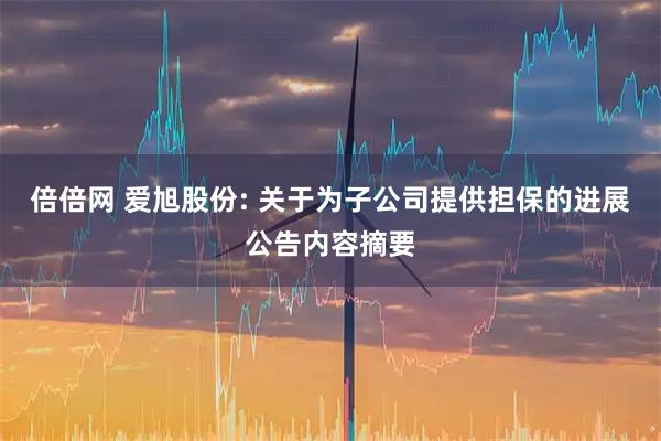 倍倍网 爱旭股份: 关于为子公司提供担保的进展公告内容摘要