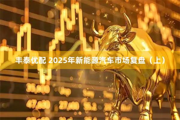 丰泰优配 2025年新能源汽车市场复盘(上)