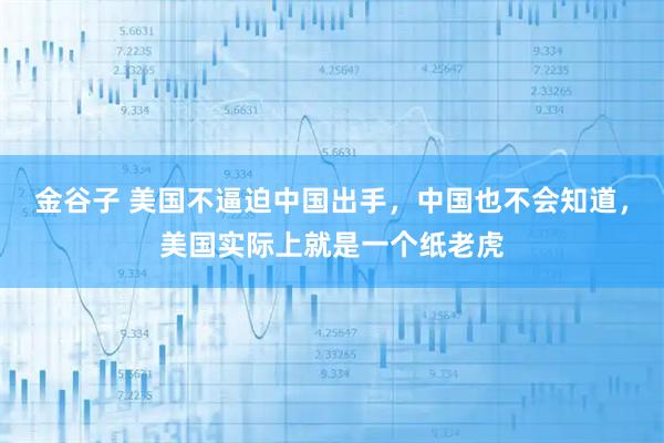 金谷子 美国不逼迫中国出手，中国也不会知道，美国实际上就是一个纸老虎
