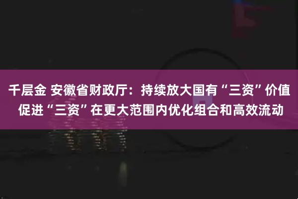 千层金 安徽省财政厅：持续放大国有“三资”价值 促进“三资”在更大范围内优化组合和高效流动